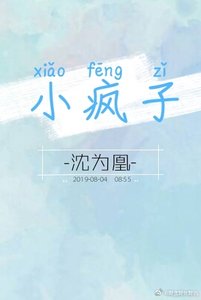 小疯子