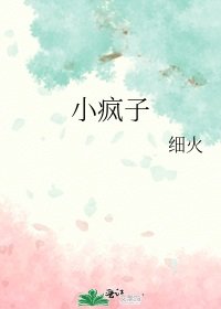 小疯子