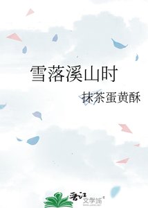 雪落溪山時
